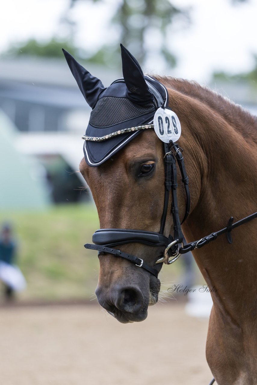 Bild 600 - Pony Akademie Turnier